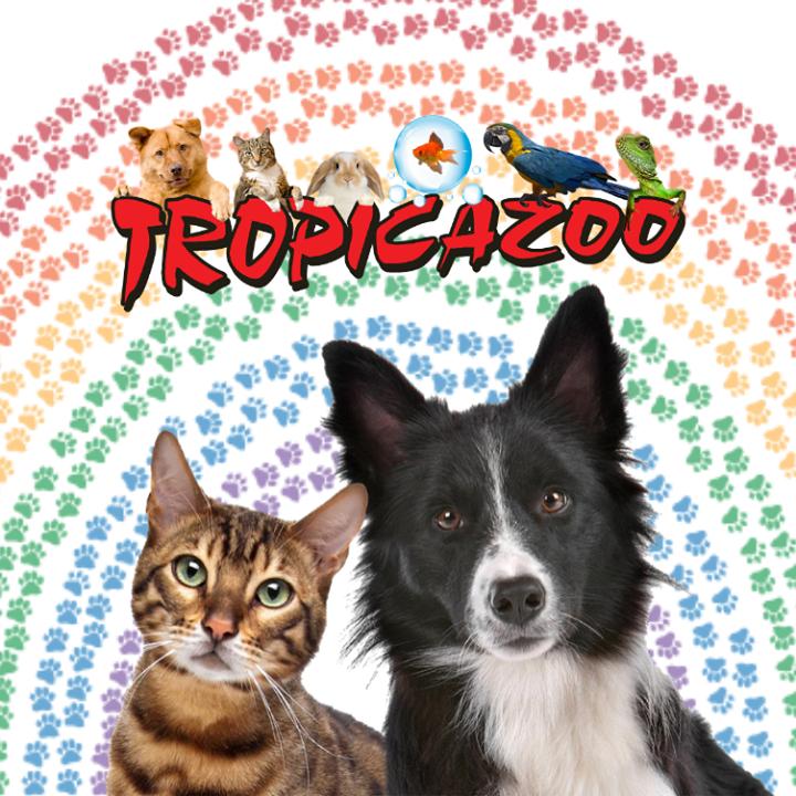Tropicazoo - Promotions & Rabais pour Oiseaux