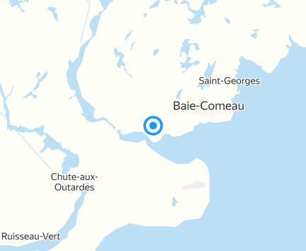 Lunetterie New Look Baie-Comeau