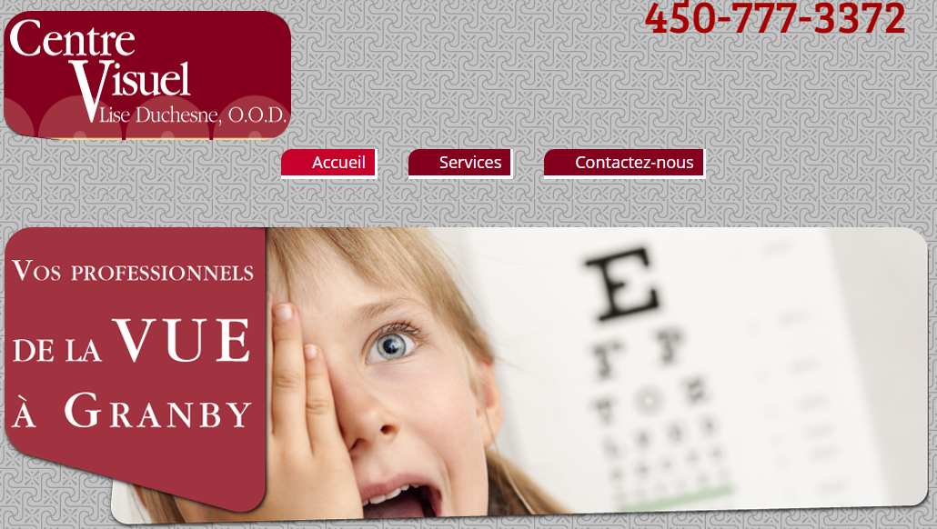 Centre Visuel Lise Duchesne En Ligne