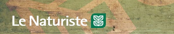 Circulaire Le Naturiste En Ligne