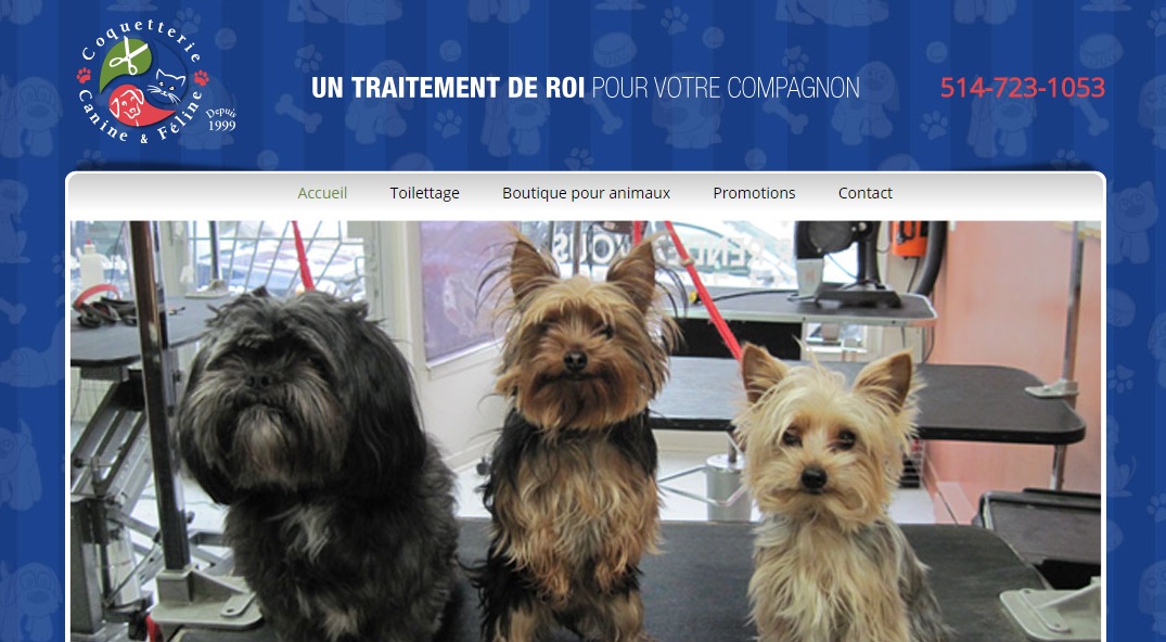 Coquetterie Canine Féline En Ligne