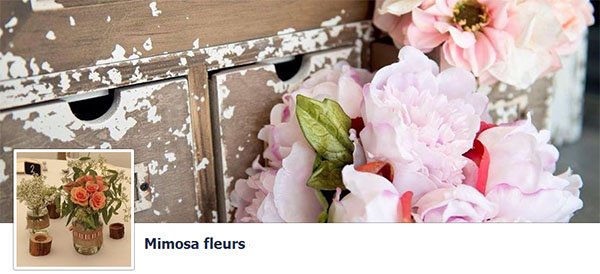 Mimosa Fleurs