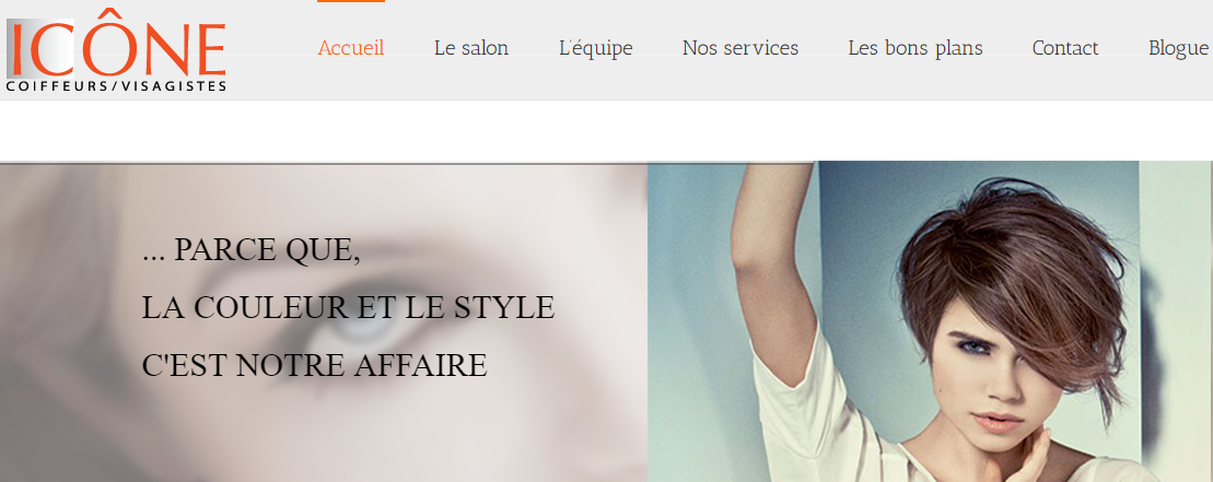 Salon De Coiffure Icône En Ligne