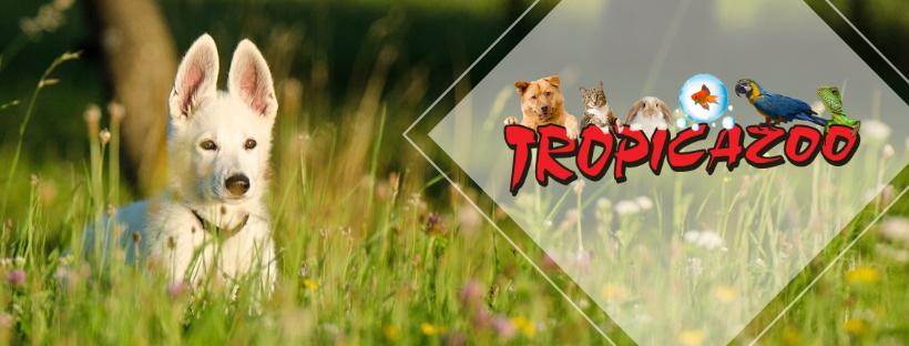 Tropicazoo